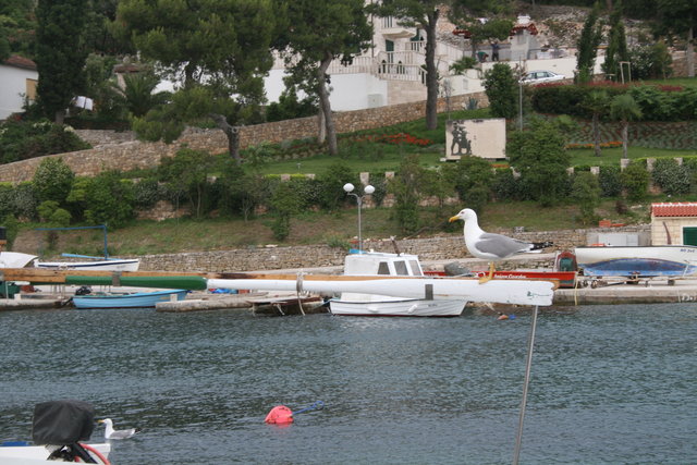 gal/cro 08/small-IMG_5365.JPG